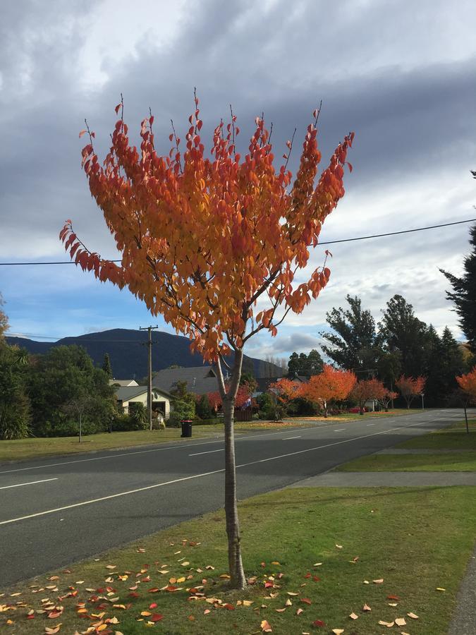 Shakespeare House Bed & Breakfast Te Anau Exterior foto